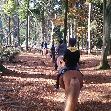 Gaestehaus Burgwald-trekking Pensjonat