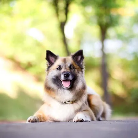 Gaestehaus Burgwald-trekking