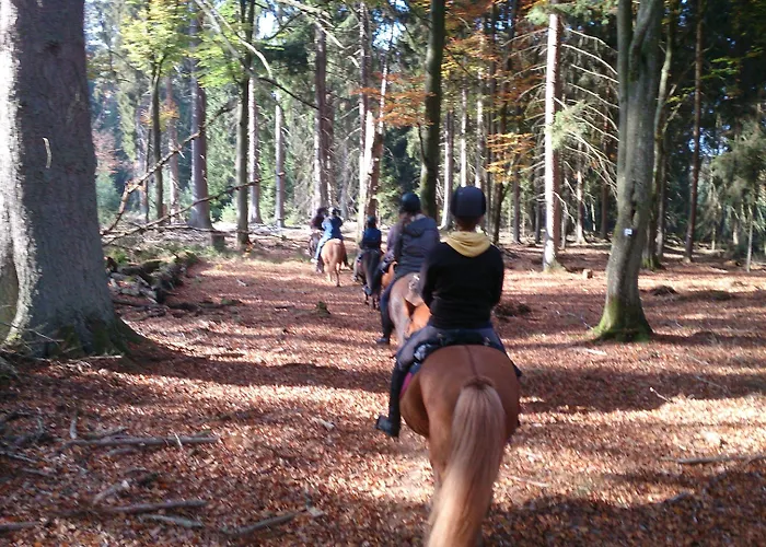 Gaestehaus Burgwald-trekking Гостевой дом