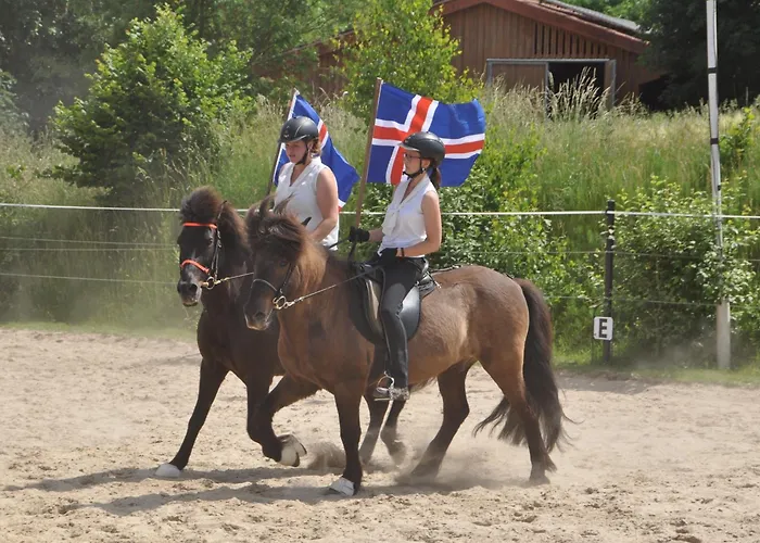 Gaestehaus Burgwald-trekking Гостевой дом Mittelsimtshausen