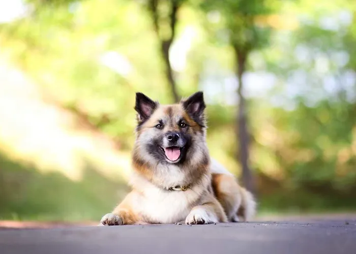 Gaestehaus Burgwald-trekking